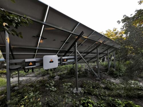 изображение viber 2024-06-22 05-54-20-898